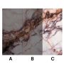 Sienų plokštė XXL Breccia Varinis Blizgis 120 x 280 cm 3 mm (C)
