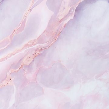 Sienų plokštė XXL Statuario Rožinis Blizgis 120 x 280 cm 3 mm (A)