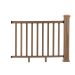 Teak
