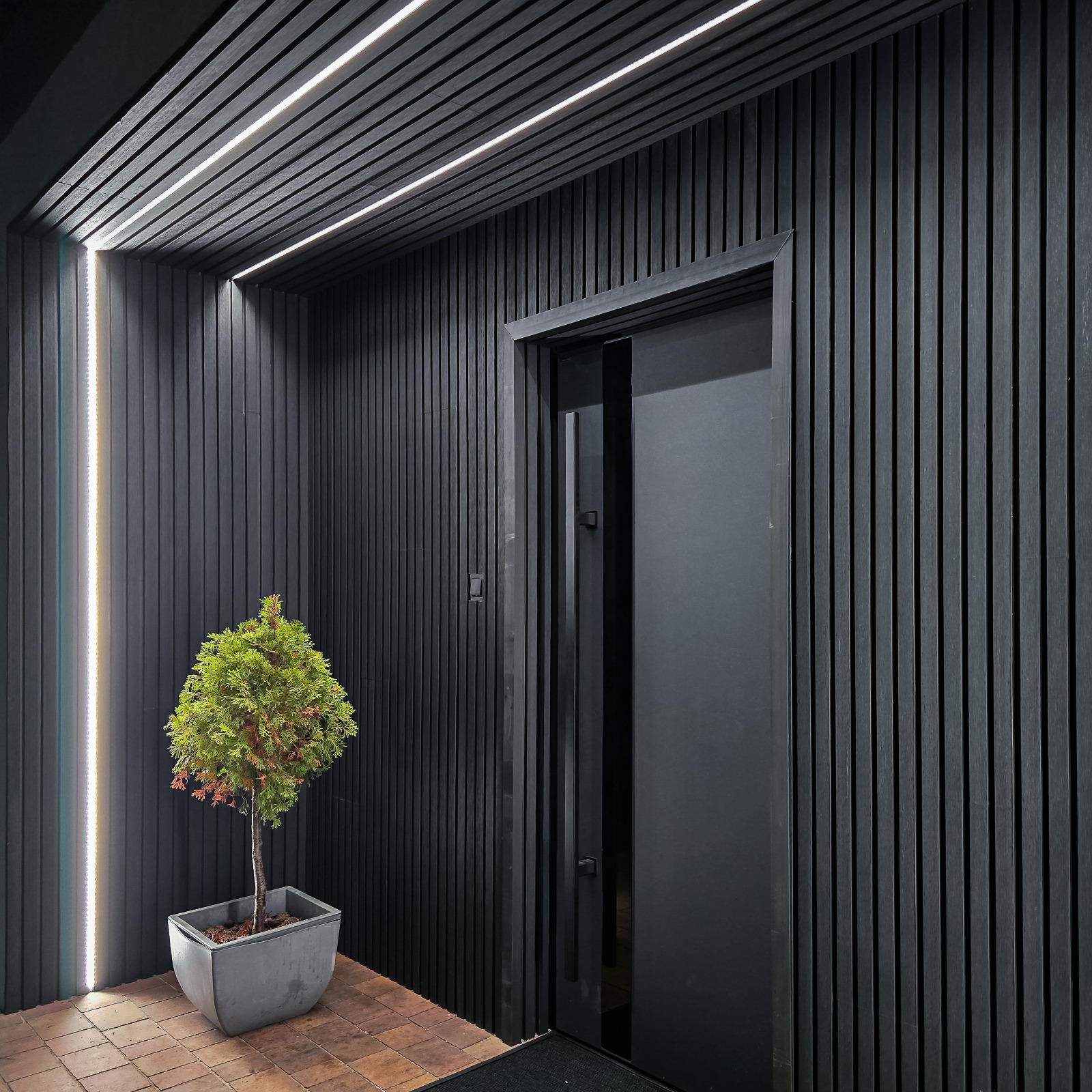 Įėjimo zona iš kompozitinių lamelių Premium Graphite
