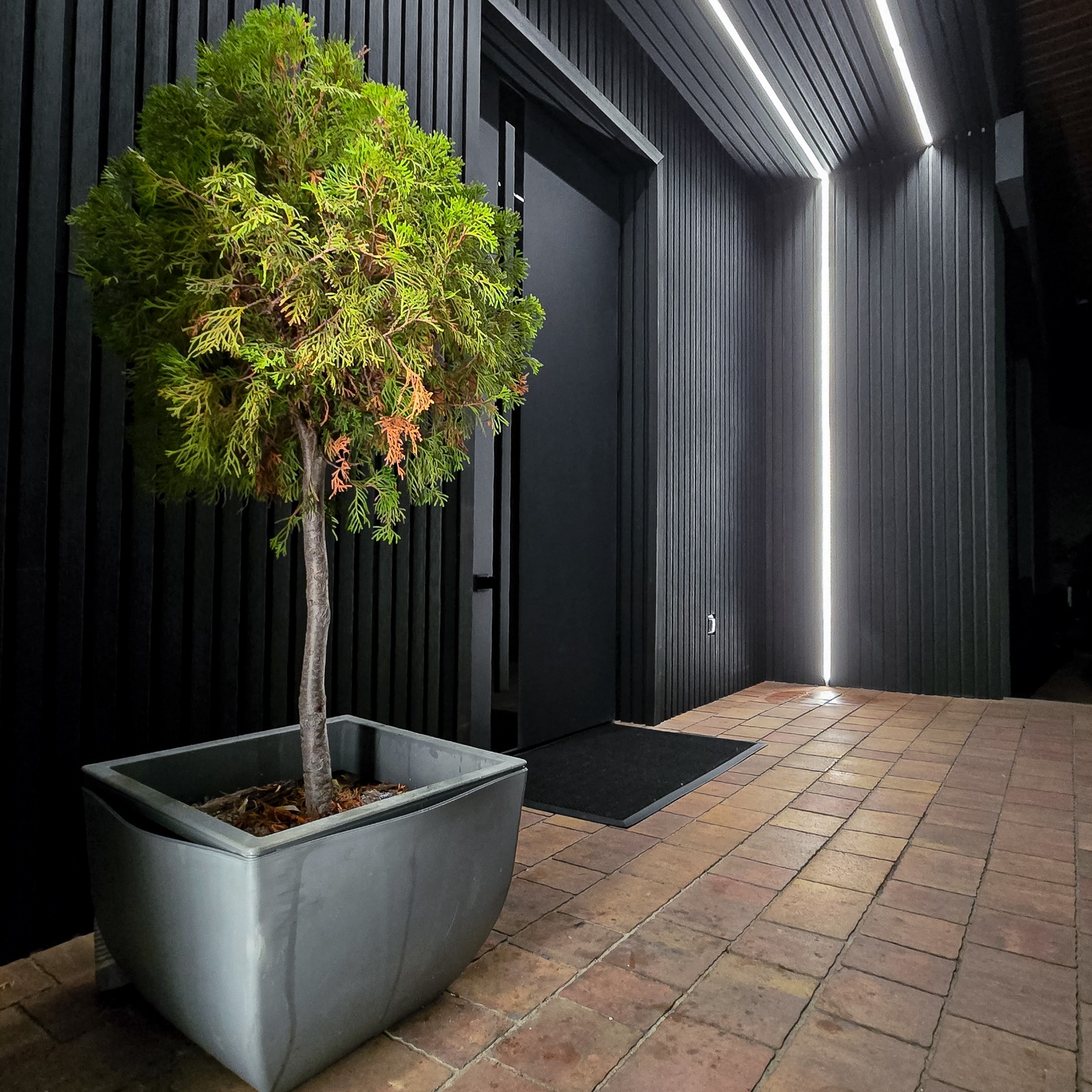 Įėjimo zona iš kompozitinių lamelių Premium Graphite