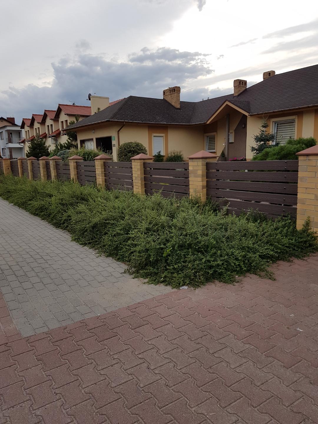 Tvora iš 3D Ruda terasinių lentų – patvarumas elegantiškame pavidale