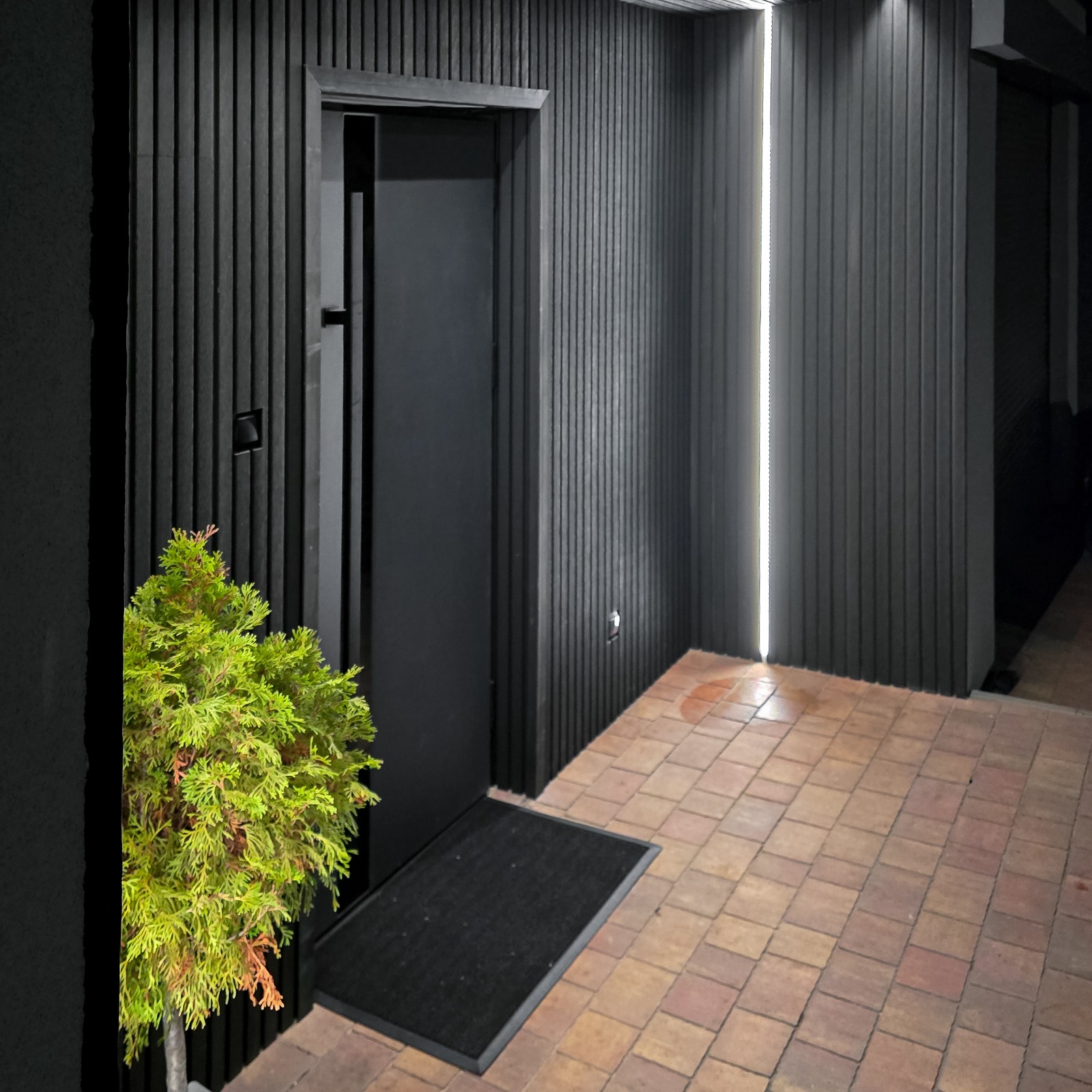 Įėjimo zona iš kompozitinių lamelių Premium Graphite